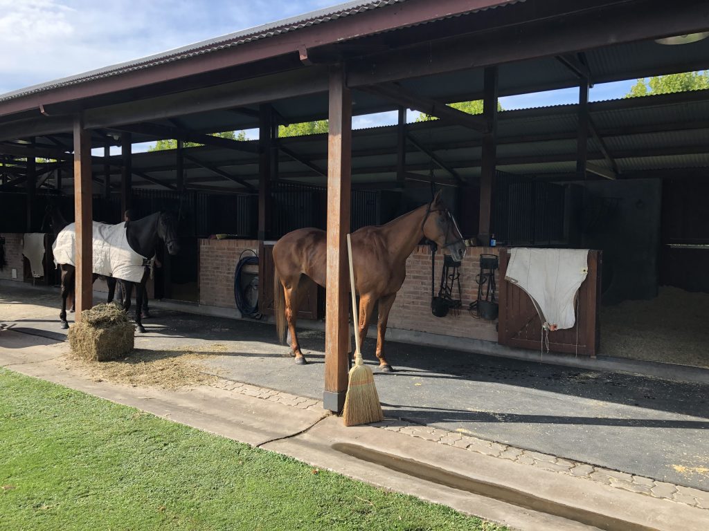 Ocala Stall Mat Rentals and Sales